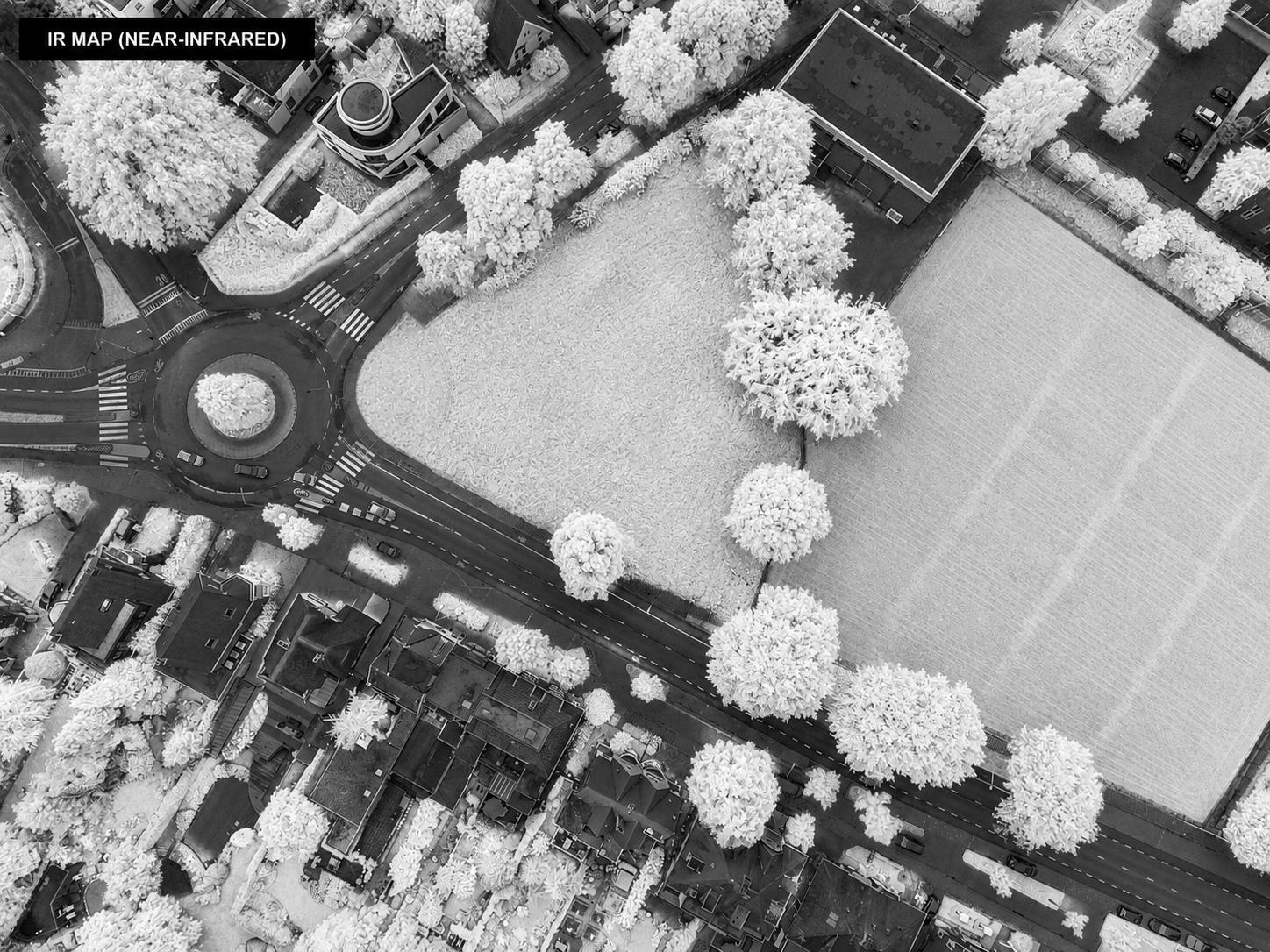 Near-infrared map of the same scene